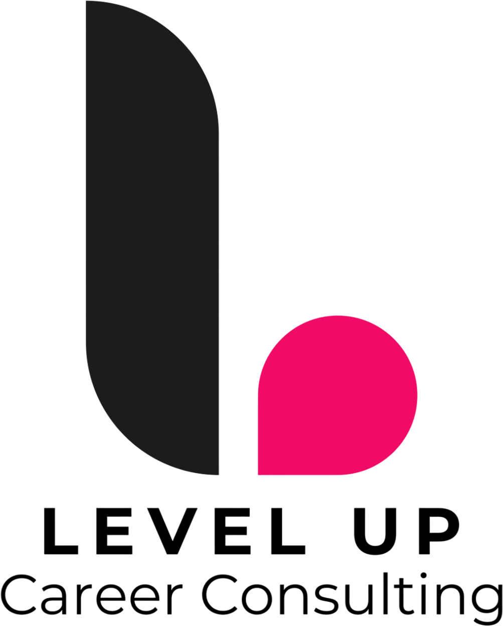 Level Up Career Consulting